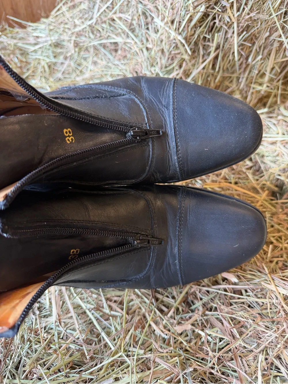 Ego 7 paddock boots - worn twice